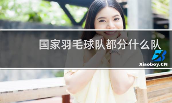 国家羽毛球队都分什么队
