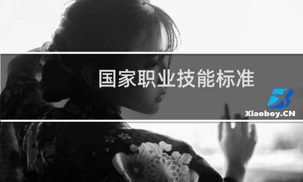 国家职业技能标准