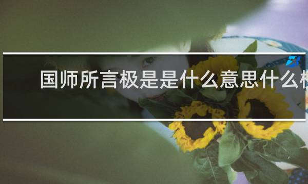 国师所言极是是什么意思什么梗