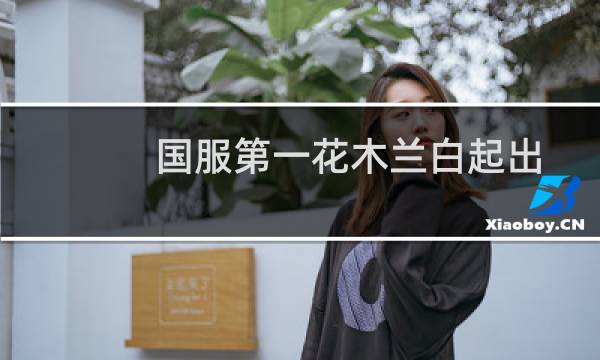 国服第一花木兰白起出装攻略