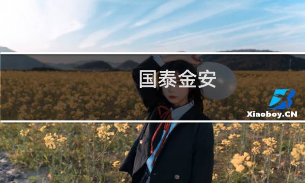 国泰金安