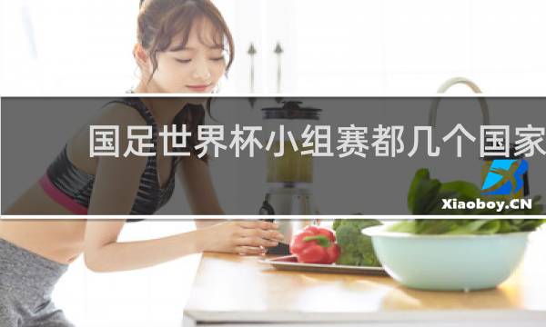 国足世界杯小组赛都几个国家