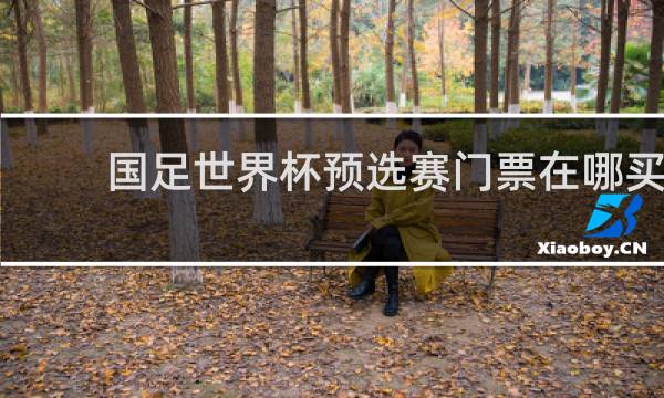 国足世界杯预选赛门票在哪买