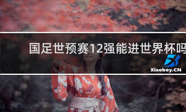 国足世预赛12强能进世界杯吗