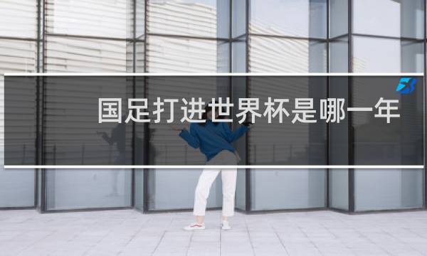 国足打进世界杯是哪一年