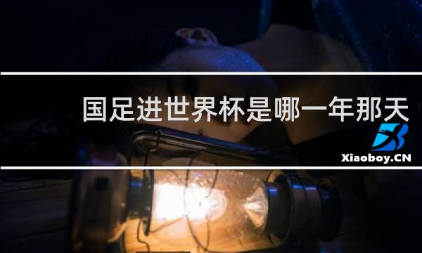 国足进世界杯是哪一年那天
