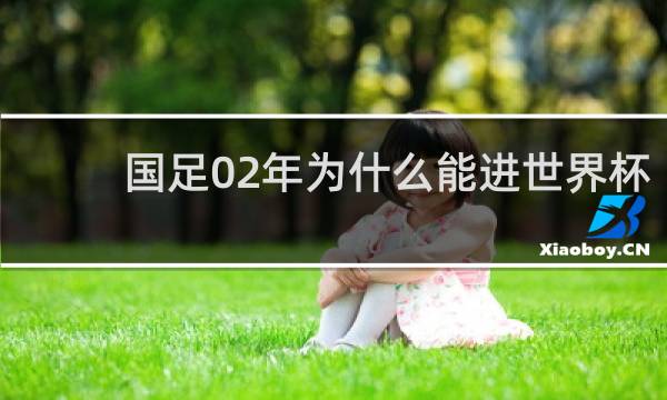 国足02年为什么能进世界杯
