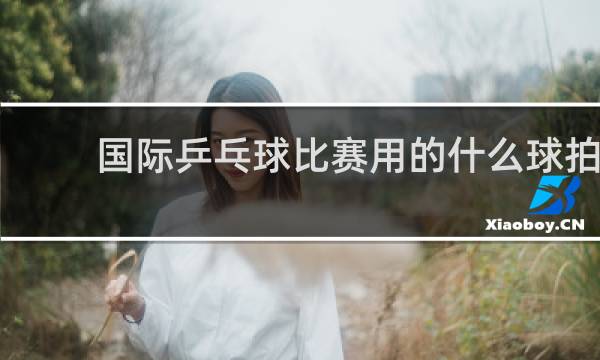国际乒乓球比赛用的什么球拍