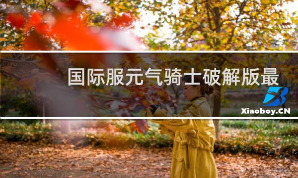 国际服元气骑士破解版最新版