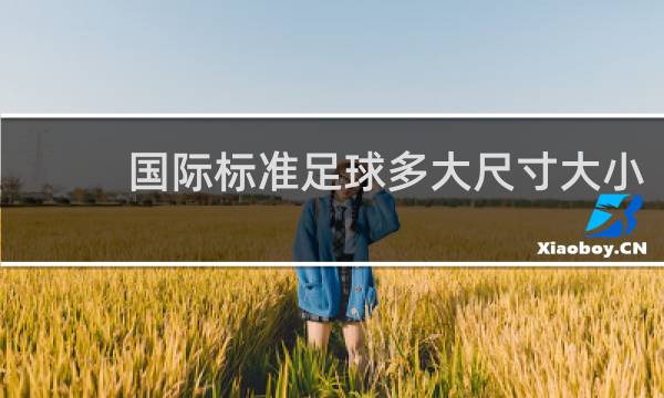 国际标准足球多大尺寸大小