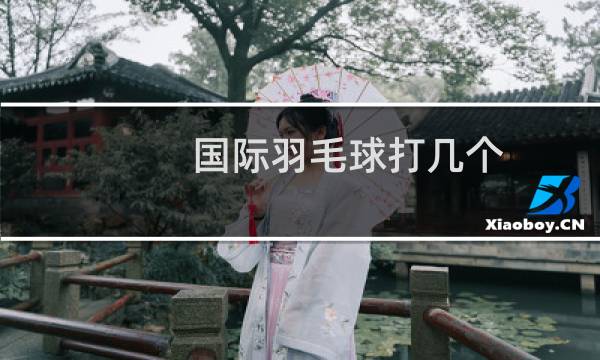 国际羽毛球打几个