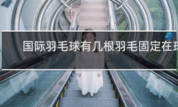 国际羽毛球有几根羽毛固定在球托处