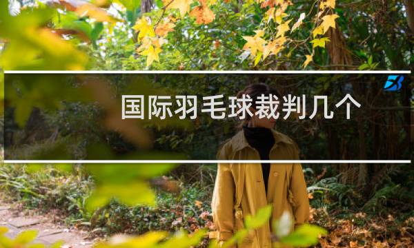 国际羽毛球裁判几个