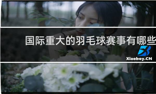 国际重大的羽毛球赛事有哪些