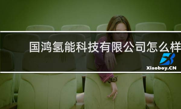 国鸿氢能科技有限公司怎么样图片