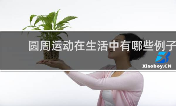 圆周运动在生活中有哪些例子
