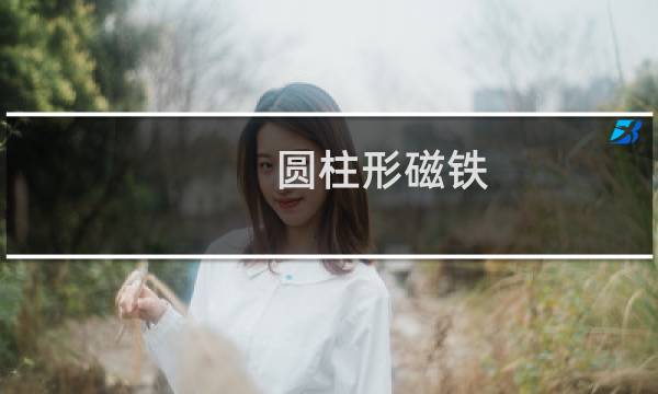 圆柱形磁铁