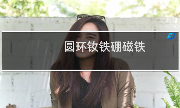 圆环钕铁硼磁铁