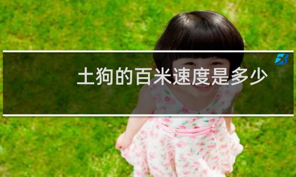 土狗的百米速度是多少