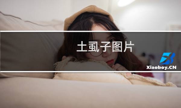 土虱子图片（土虱）图片