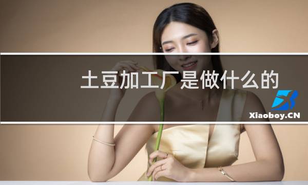 土豆加工厂是做什么的