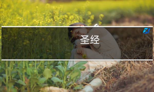 圣经：高天亮什么梗