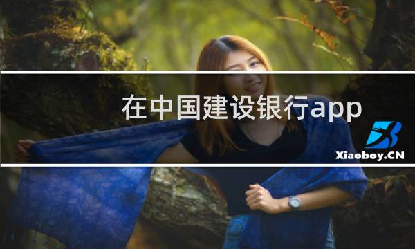 在中国建设银行app中该如何查询社保及公积金的相关信息