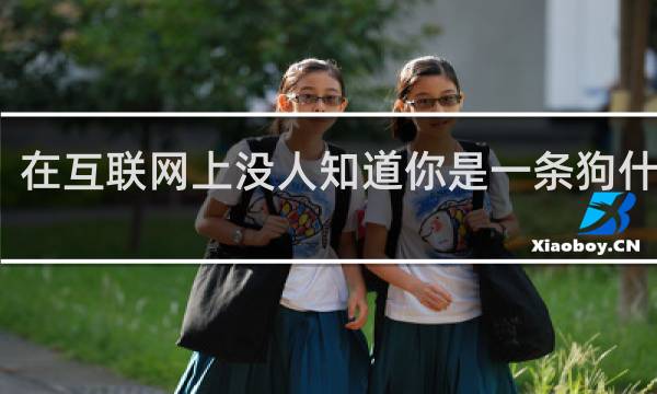 在互联网上没人知道你是一条狗什么梗？在互联网上没人知道你是一条狗是什么意思什么梗