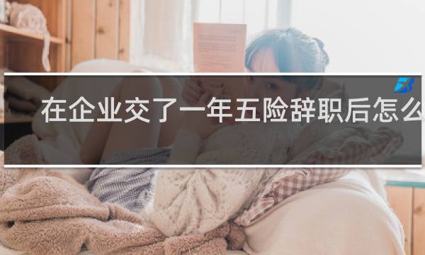 在企业交了一年五险辞职后怎么办