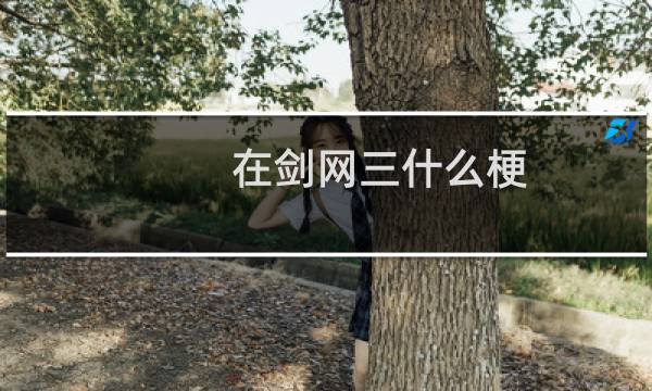 在剑网三什么梗