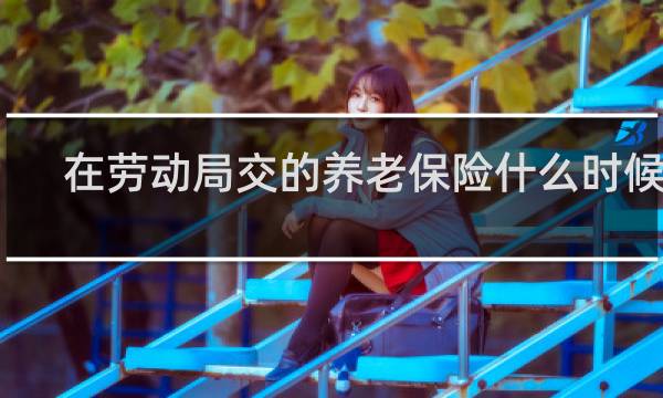 在劳动局交的养老保险什么时候交图片