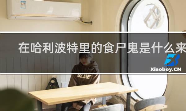 在哈利波特里的食尸鬼是什么来的