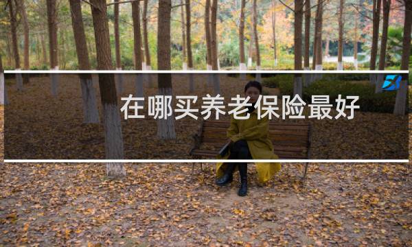 在哪买养老保险最好
