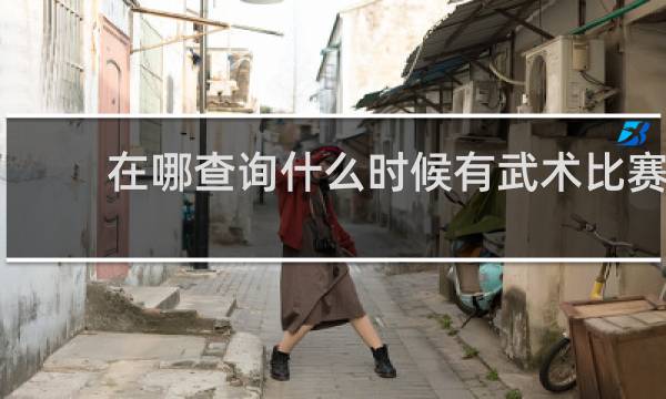 在哪查询什么时候有武术比赛
