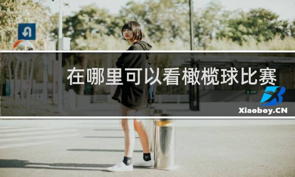 在哪里可以看橄榄球比赛