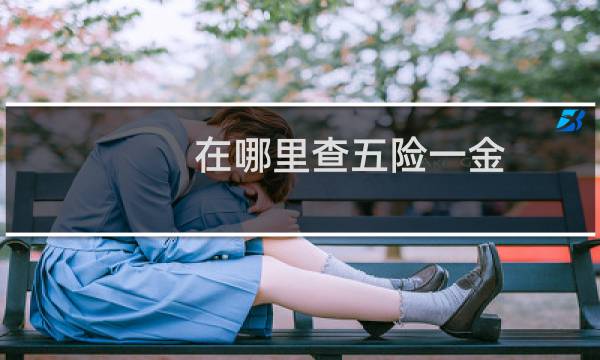 在哪里查五险一金