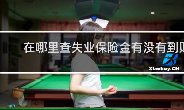 在哪里查失业保险金有没有到账图片