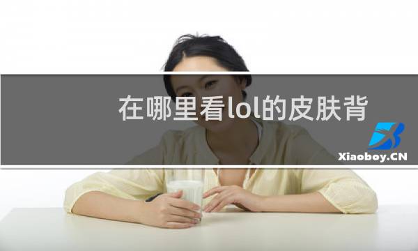 在哪里看lol的皮肤背景图片