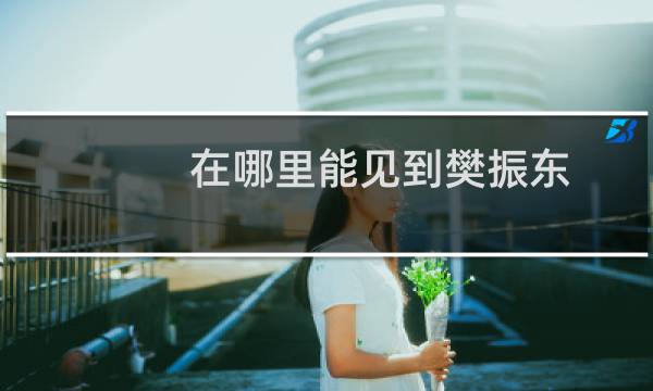 在哪里能见到樊振东