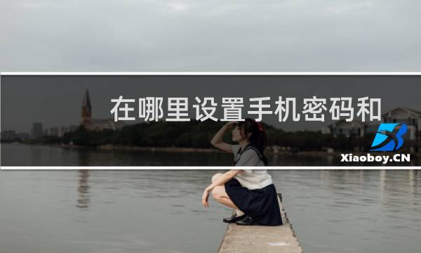 在哪里设置手机密码和SIM卡锁定?