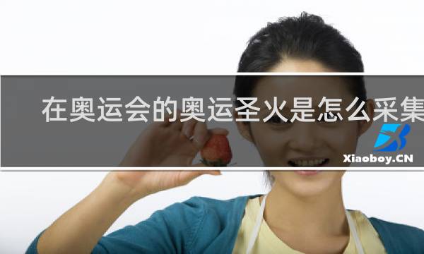 在奥运会的奥运圣火是怎么采集的