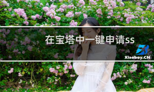 在宝塔中一键申请ssl证书需要手动解析域名的CAA类型，我看