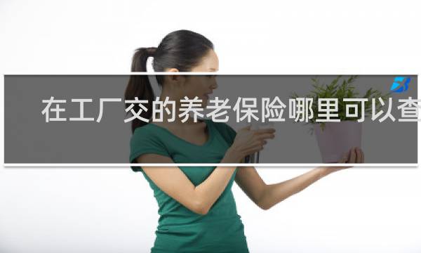 在工厂交的养老保险哪里可以查到图片