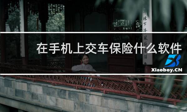 在手机上交车保险什么软件图片
