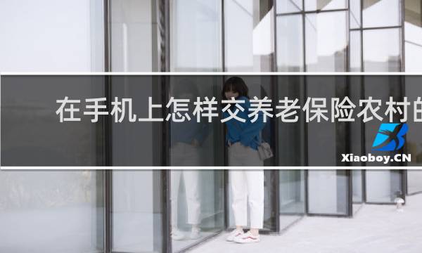 在手机上怎样交养老保险农村的
