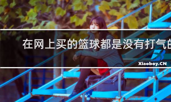 在网上买的篮球都是没有打气的吗