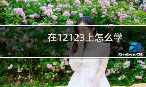 在12123上怎么学法减分（怎样在交管12123上学法消分）