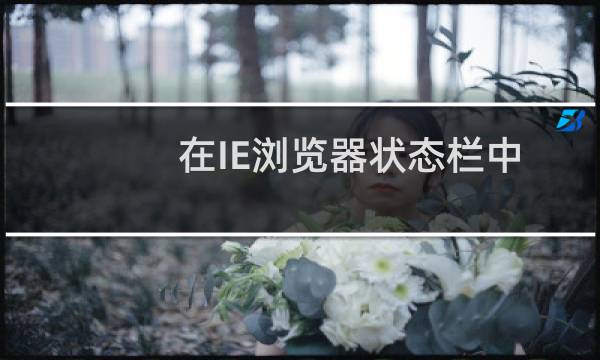 在IE浏览器状态栏中显示\