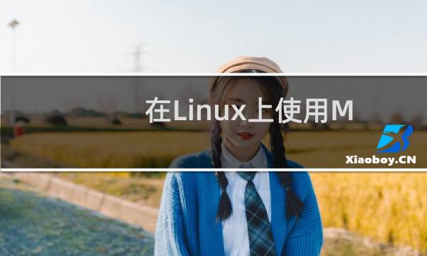 在Linux上使用Meld比较文件夹