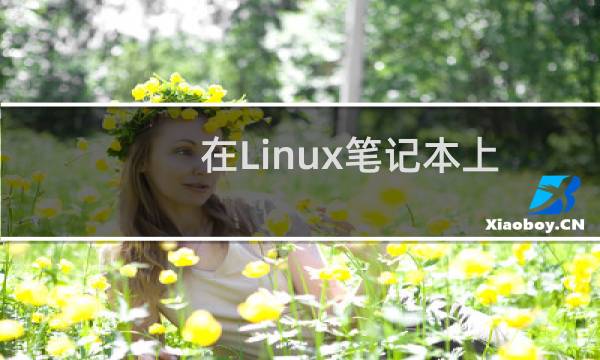 在Linux笔记本上执行这句命令就能导致设备永久变砖
